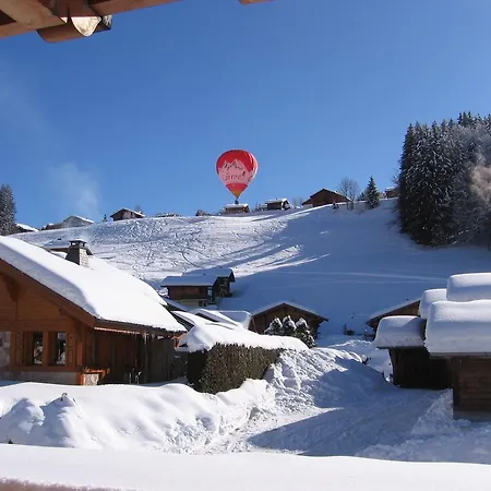 Jonquille Domek alpejski *